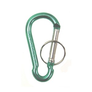 Small C-Clip Key Chain