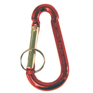 Large C-Clip Key Chain
