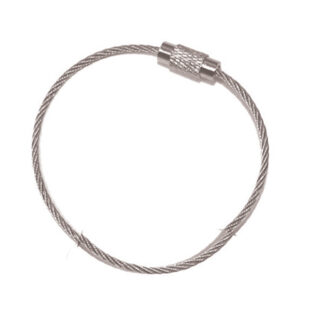 Stainless Steel Key Ring